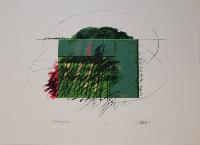 Red Trailing Field - 1/25