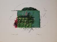 Red Trailing Field - S/P