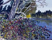 Beaver Lake VI
