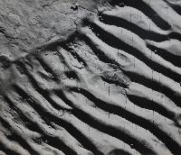 Rippled Sandstone #2 - West Side of Fogo Island, Newfoundland