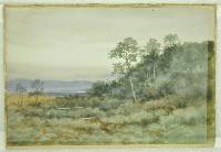 Untitled (Landscape)