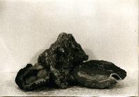 Box of Rocks from Sommerset Zodiac