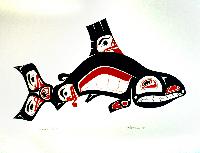 Humpback Salmon