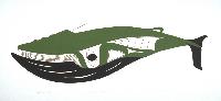 Humpback Whale