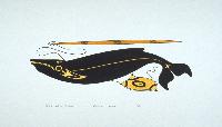 Kiista Design