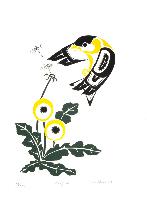 Goldfinch