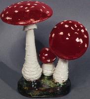 Amanita Muscaria