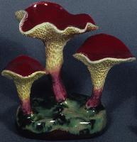 Boletinus Paluster