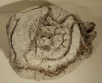 Untitled (Sculpture)