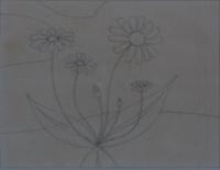 Mule Ears Large - Drawing