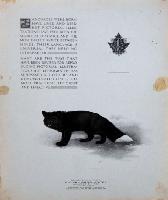 Untitled (Werewolf)