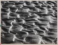 Complex Ripples #1 - Peace River