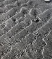 Recent Ripples, Jack Knife, Particle Separation - Prince Edward Island