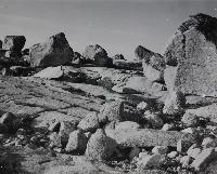 Boulder-strewn Shoreline, Peggy's Point, Nova Scotia