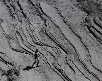 Figure on Sandstone Beds - Zion National Park, Utah