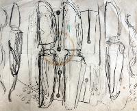 Sketch #6