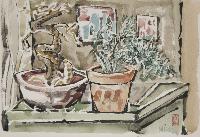 Bonsai