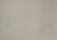 Sockeye