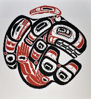 Haida Gwaii Killer Whale