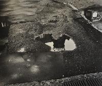 Castle's Reflection