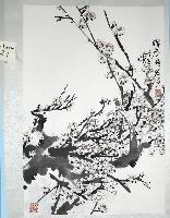 Spring Blossoms