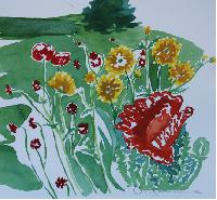 Garden, Saanichton, BC