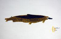 Fish Eating Fish