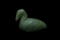Sea Bird