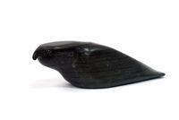 Seated Bird