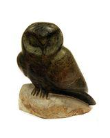 Untitled (Green Owl)
