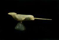 Narwhal