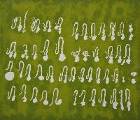 Sperm Alphabet