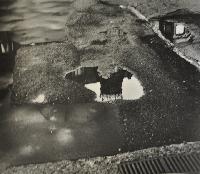 Castle's Reflection