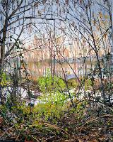 Beaver Pond
