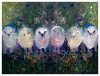 Six Owls