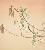 Bird Cherry, Oso Berry, Red Alder