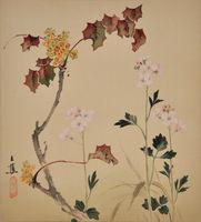 Milkmaid or Toothwort, Oregon Grape