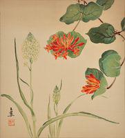 Honey Suckle, (Lonicera Ciliosa), Poison Camas, (Zygadenus Venenosus)