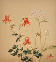 Columbine and False Bugbane