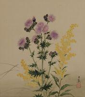 Goldenrod, Canada Thistle