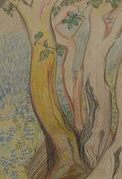 Untitled (Arbutus Trunks)