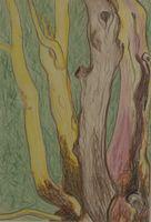 Untitled (Arbutus)