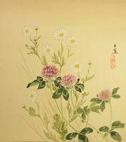 Red Clover, (Trifolum Pratense), May Wood, (Anthemis Cotula)