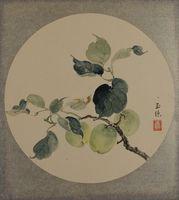 Fruit