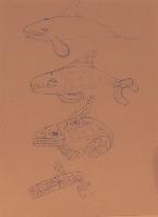 Untitled (Whale Designs)