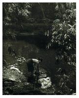 Untitled (Photograph)