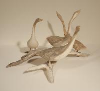 Geese
