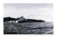 Cornfield