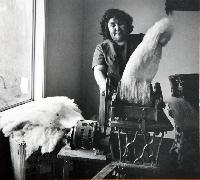 Evelyn Joe