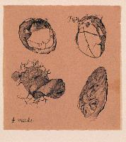 Four Masks